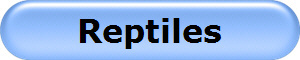 Reptiles